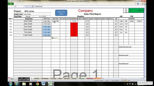 Practical Project On Project Management and Information System