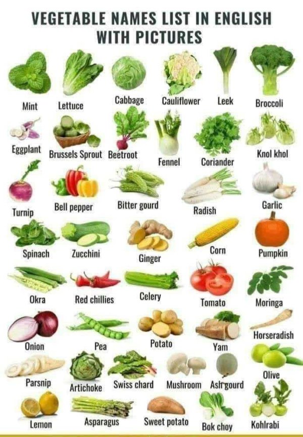vegetable-name-english-vocabulary-for