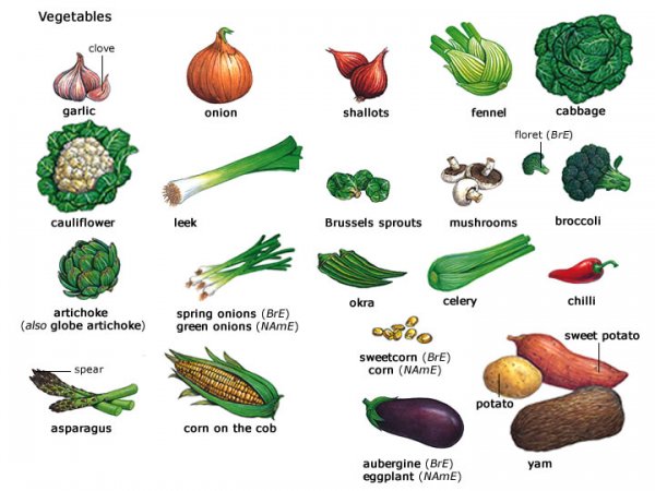 vegetables vocabulary photo